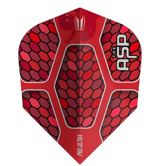 Target Nathan Aspinall Vision Ultra spārniņi (No6)